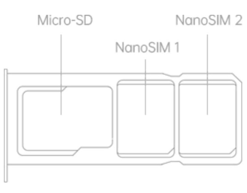 Connectivity Image